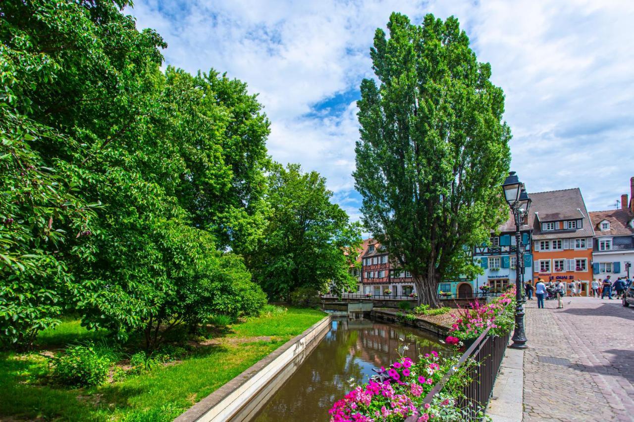 Le Rapp - Centre Historique - Wifi - Tout Confort Leilighet Colmar Eksteriør bilde